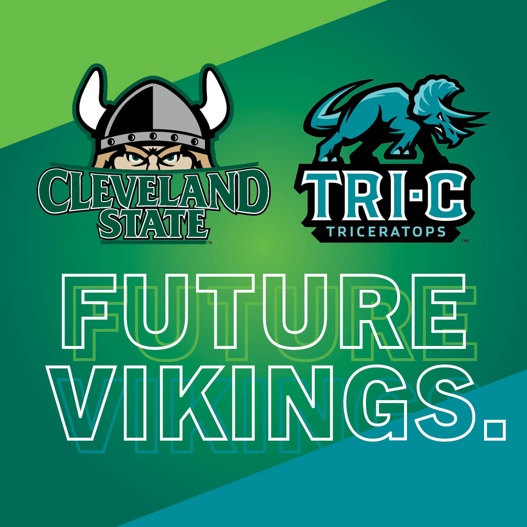 csu-future-vikings-graphic-treatment.jpg